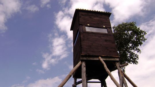 PZŁ: koronawirus uderzył w myśliwych
