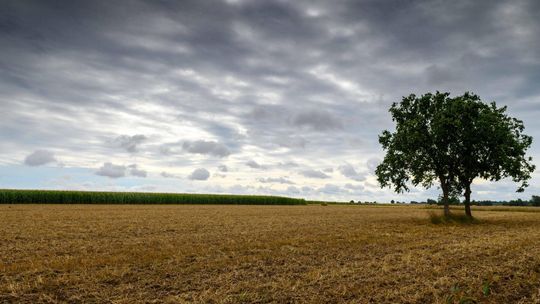 Raport: w ostatnich latach część gmin wiejskich dotknął regres w rozwoju