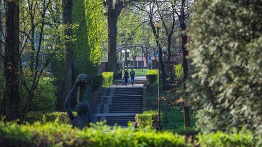 Rewitalizacja Parku „Solidarność”. Powstanie nowa muszla koncertowa