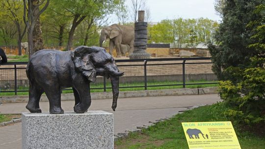 Rzeźby zwierząt autorstwa uczniów ZSP nr 6 w warszawskim zoo!