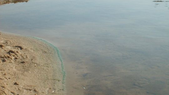 SANEPiD ostrzega: woda w Pilicy nie nadaje się do kąpieli