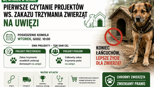 Sejmowa komisja rozpatrzy zakaz łańcuchów i nowe zasady dla kojców dla psów. Co przewidują trzy projekty?