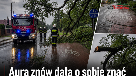 Silny wiatr nad Nagórzycami. Niebezpieczny konar zawisł nad ścieżką rowerową