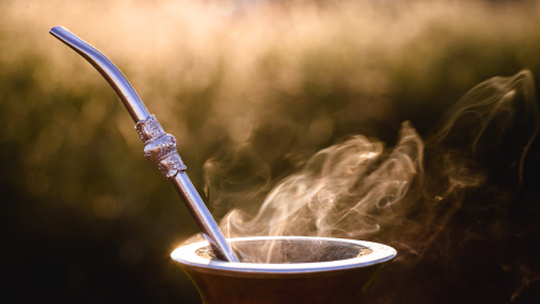 Skąd bierze się popularność Yerba Mate w Polsce?
