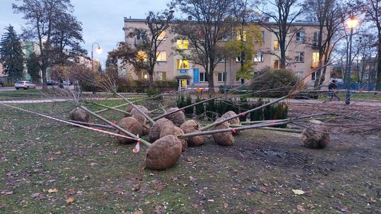 Skwer przy szpitalu w rewitalizacji. Będzie bardziej zielono