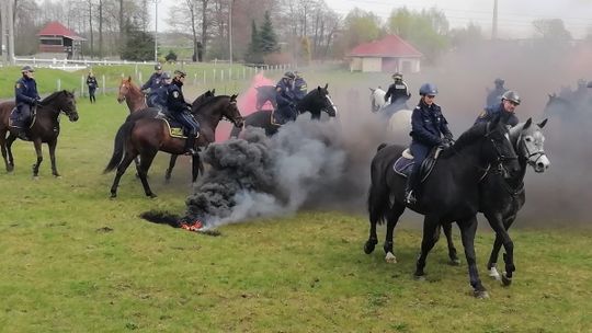 Służą w siodle 