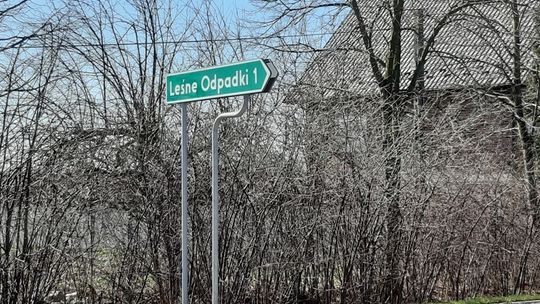 Smutne obrazki z bliskiej okolicy