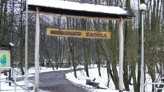Śniegus dyngus