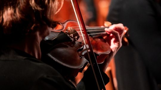 Socjologowie z PAN: muzykę poważną w Polsce najbardziej lubią kierownicy wyższego szczebla, a disco-polo – rolnicy