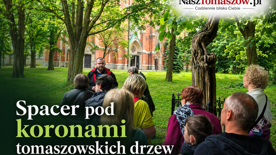 Spacer pod koronami tomaszowskich drzew przypomniał o zielonym dziedzictwie miasta