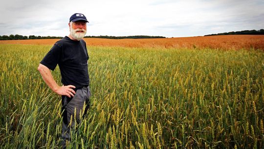 Spada liczba rolników naszym powiecie. Ile dopłat przypada średnio na jednego z nich?