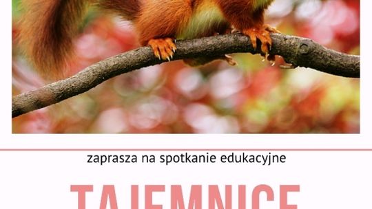 Spotkanie edukacyjne  "Tajemnice fauny"