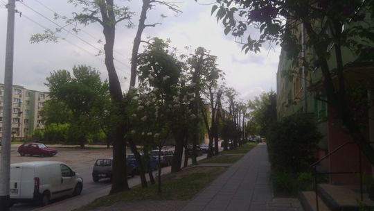 Sprawą zajmie się Powiat