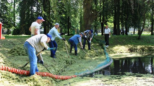 Staw w parku miejskim - dzisiaj pytanie, dzisiaj odpowiedź