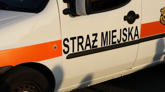 Straż miejska zyska nowe uprawnienia. Będzie karała za prędkość