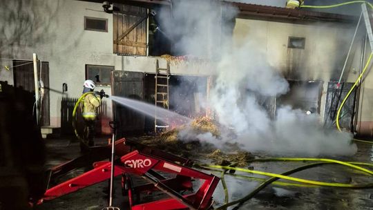 Strażacy szybko opanowali ogień