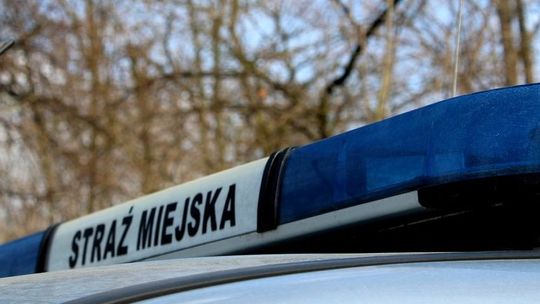 Strażnicy miejscy ujęli nietrzeźwego rowerzystę