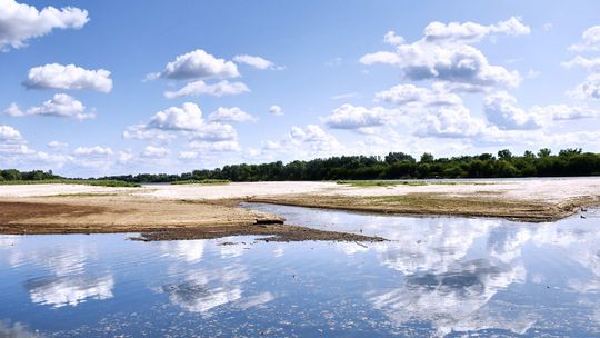 Susza zagraża nam wszystkim. Sprawdź, jak oszczędzać wodę i pieniądze