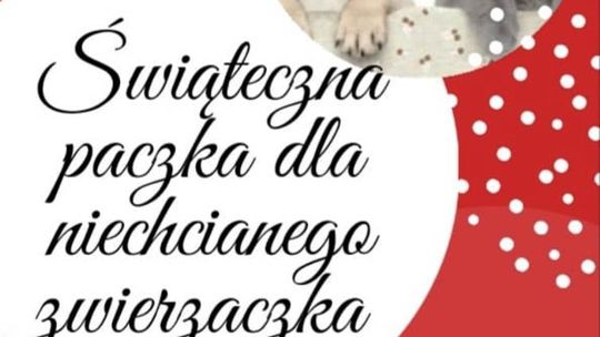 Świąteczna paczka dla niechcianego zwierzaczka