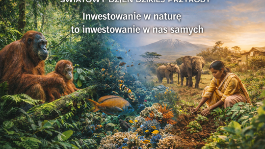 Światowy Dzień Dzikiej Przyrody 2025. Inwestycja w naturę to inwestycja w nas samych