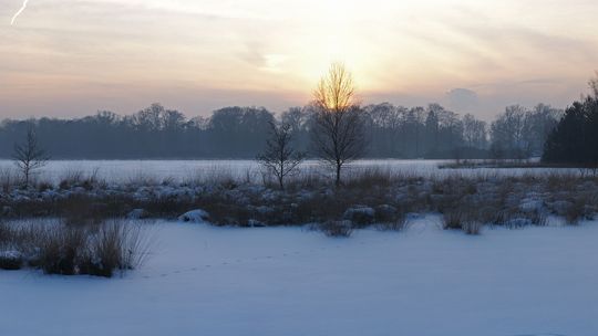 Synoptyk IMGW: niedziela pochmurna z opadami śniegu i deszczu ze śniegiem