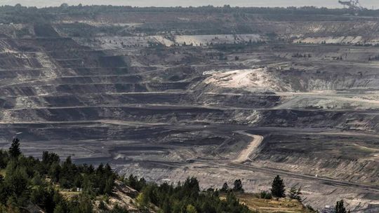 Szczątki krokodyla sprzed 17 mln lat odnaleziono na terenie kopalni „Bełchatów”