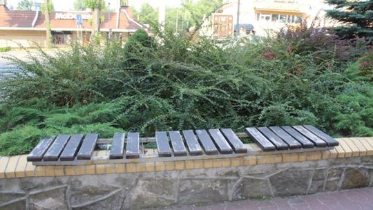 Szczurowisko w centrum miasta
