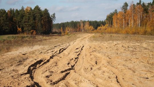 Szkoda czasu i pieniędzy? ZDW negatywnie o pomysłach Tomaszowa