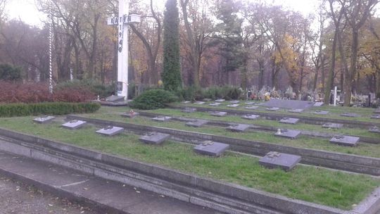 Szybka akcja kibiców Widzewa
