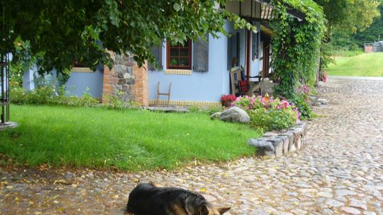 Takie fajne lato (2) - Ulewa nad Rozlewiskiem, słońce nad Olsztynem