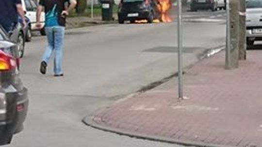Tam gdzie lubią się zaczaić