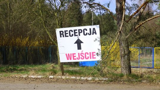 To już tylko ruiny