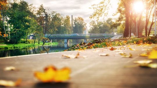 Tomaszów Mazowiecki Jesienne Bulwary SkajNetSerwis