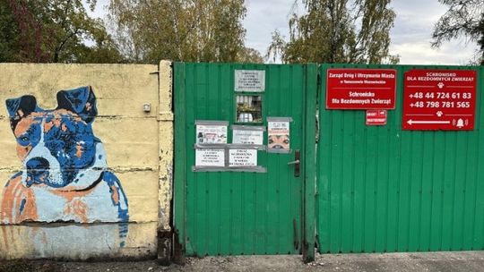 Tomaszów Mazowiecki przyjął program opieki nad zwierzętami na 2026 rok