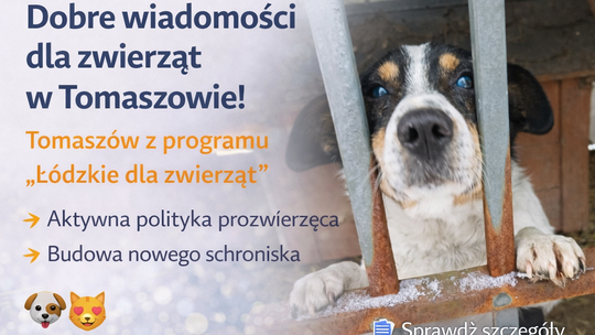 Tomaszów Mazowiecki ze wsparciem dla zwierząt. Miasto stawia na profilaktykę i nowe schronisko