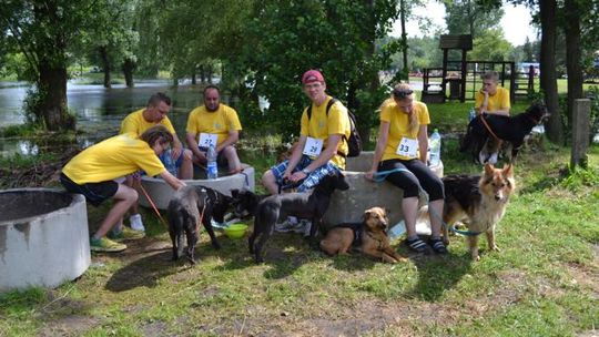 Tomaszowskie schronisko w Rajdzie Dog Orient 2013
