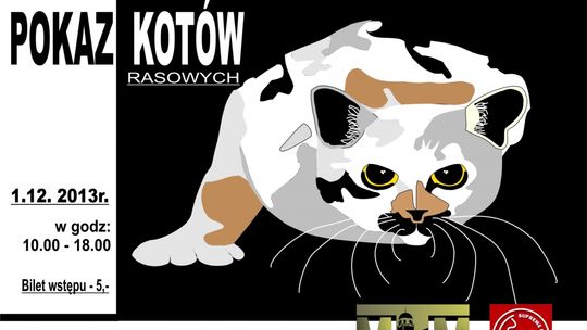 Trzeci pokaz kotów rasowych