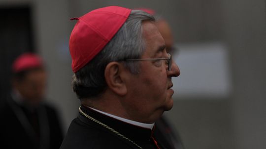 Tuszował pedofilię został... sołtysem