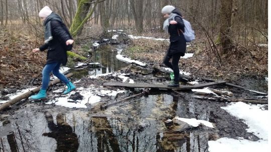 Uczniowie ZSP 8 oddali hołd bohaterom AK