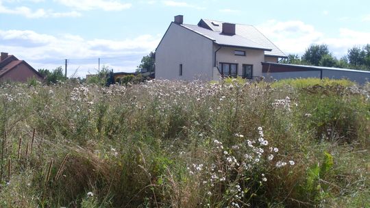 Ulica Chopina - zakurzona, zarośnięta i zaśmiecona