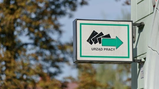 W marcu o 30 proc. nowych ofert pracy więcej niż rok temu
