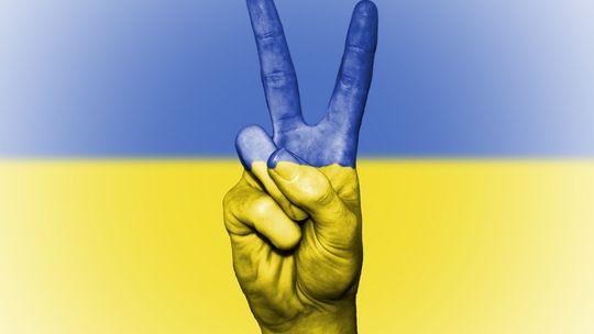 W Polsce będzie szybko przybywać Ukraińców. Nawet 300 tys. rocznie