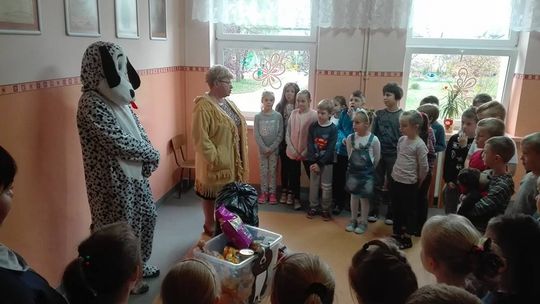 W "siódemce" zbierali dary dla psiaków