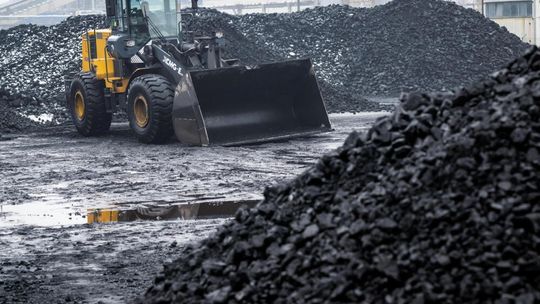 W sobotę Polska wyczerpie roczną pulę odnawialnych zasobów naturalnych