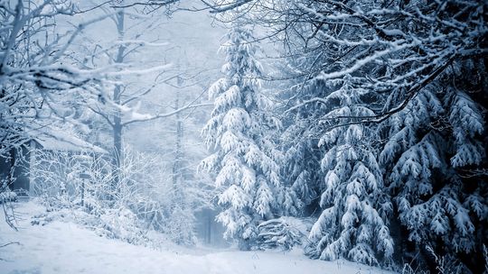W Tatry wróciła zima; Zakopane znowu białe