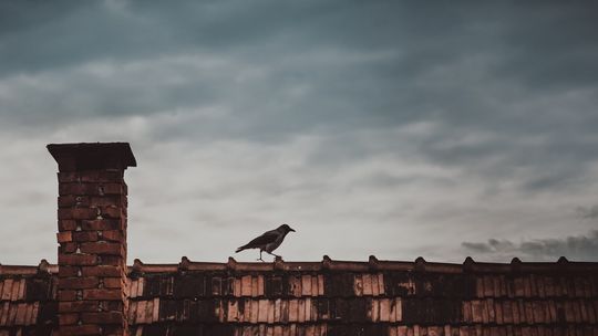 W trosce o czyste powietrze