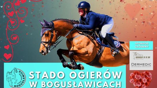 Walentynkowe skoki przez przeszkody