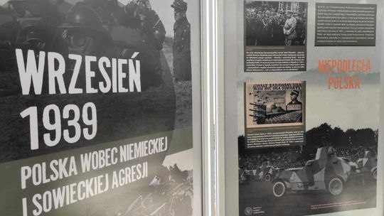 Walki żołnierza polskiego
