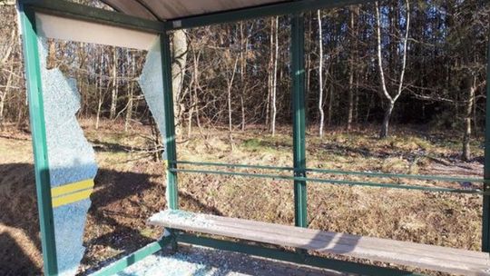 Wandale grasują  Czerniewicach. Wójt Bednarek szuka winnych 