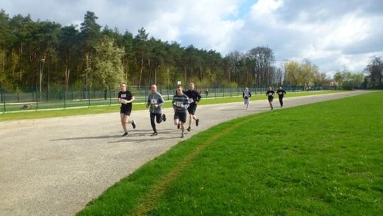 Weryfikacja do służby zawodowej